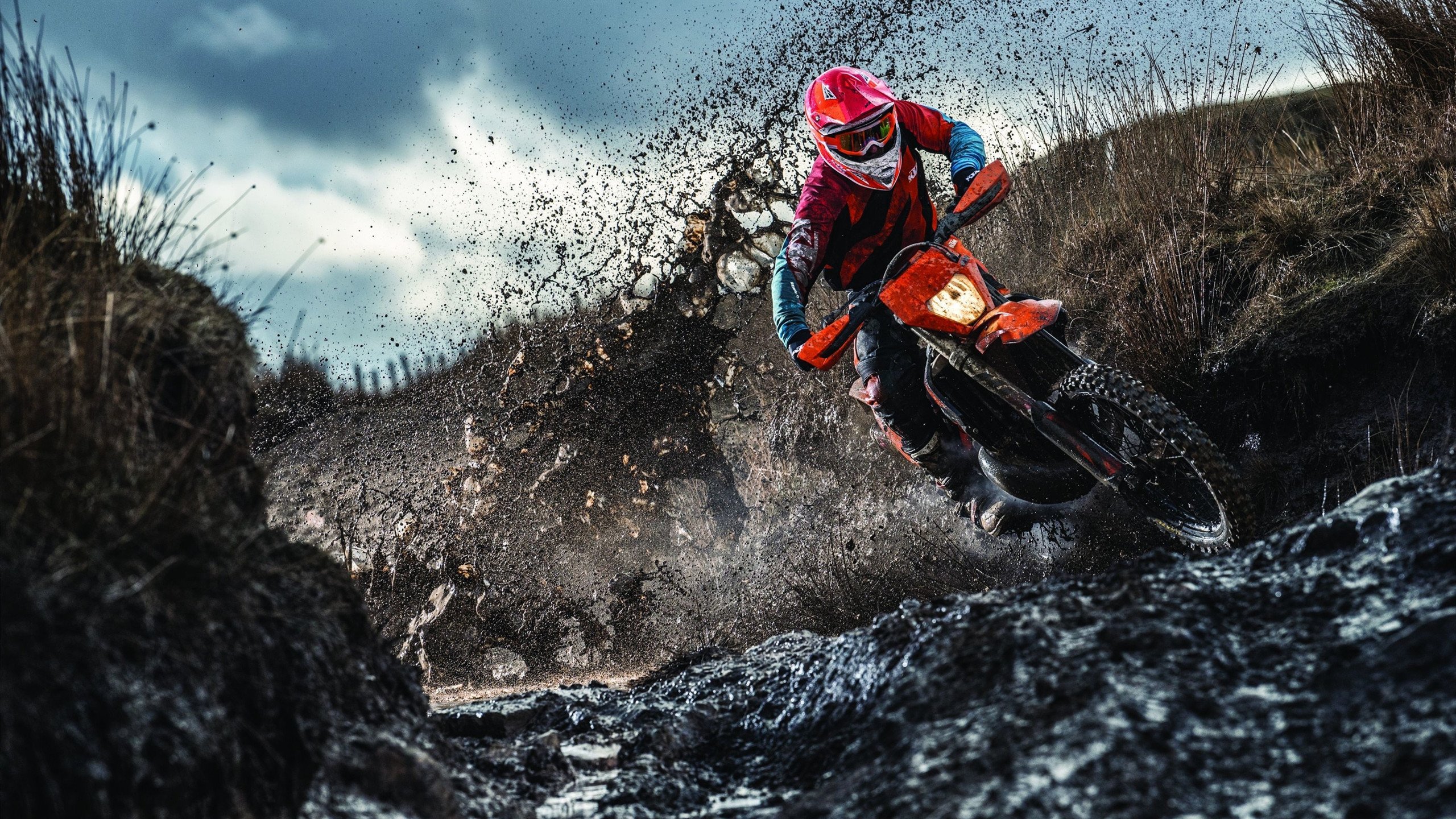 全国青少年“绿色运动”公益行在昆明持续推进，倡导低碳理念，青少年绿色发展实践教育基地